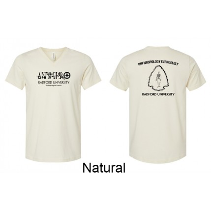 BELLA CANVAS® V-Neck T-Shirt