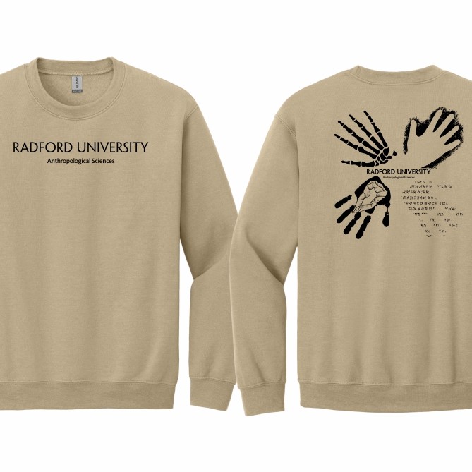 Crewneck Sweatshirt - w/ Sleeve print